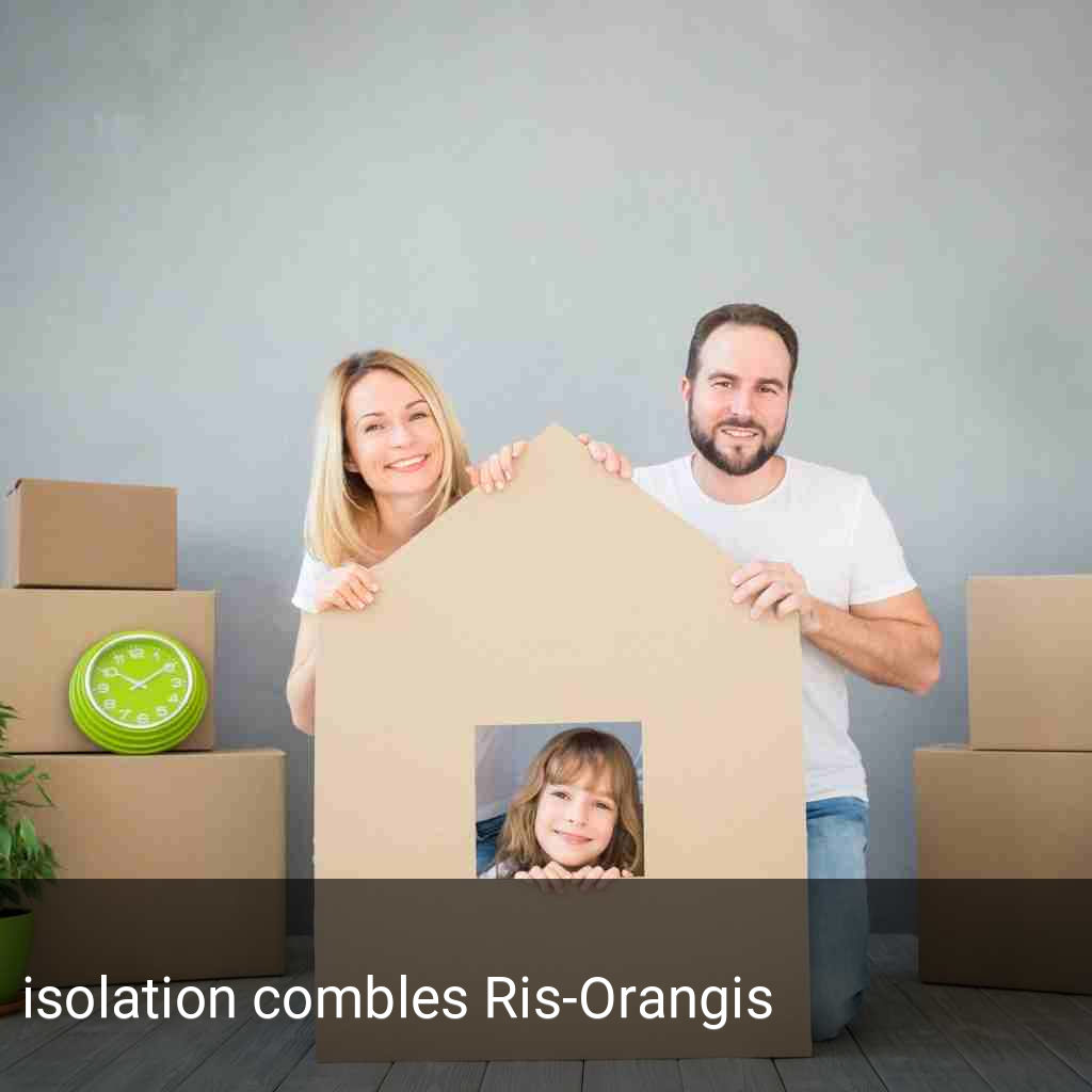 isolation combles Ris-Orangis